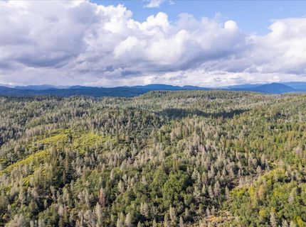 Donkey Mine Rd, Oak Run, CA 96069 Photo