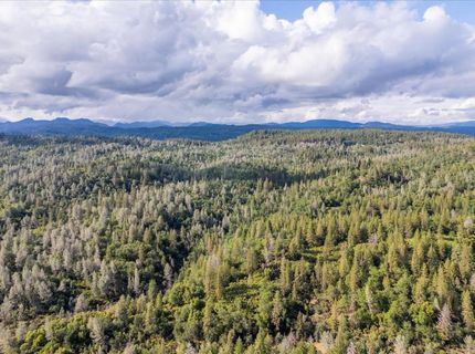 Donkey Mine Rd, Oak Run, CA 96069 Photo