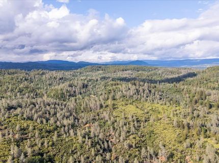 Donkey Mine Rd, Oak Run, CA 96069 Photo