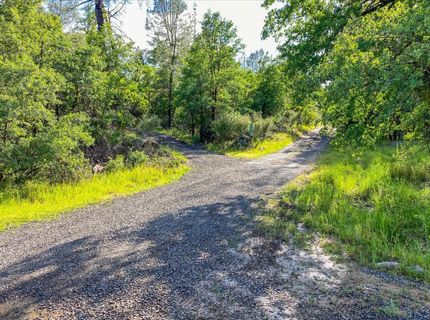 Donkey Mine Rd, Oak Run, CA 96069 Photo