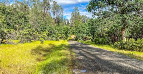 Donkey Mine Rd, Oak Run, CA 96069 Photo