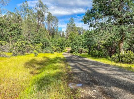 Donkey Mine Rd, Oak Run, CA 96069 Photo