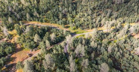 Donkey Mine Rd, Oak Run, CA 96069 Photo
