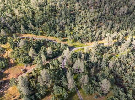 Donkey Mine Rd, Oak Run, CA 96069 Photo