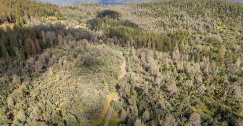 Donkey Mine Rd, Oak Run, CA 96069 Photo