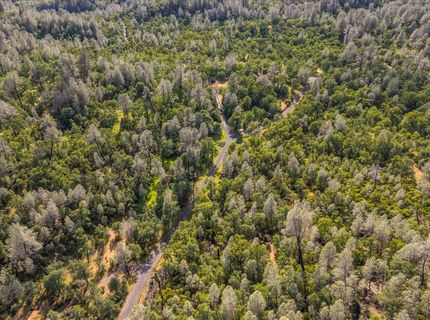 Donkey Mine Rd, Oak Run, CA 96069 Photo