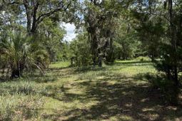 5375 Hampton Rd. photo 4