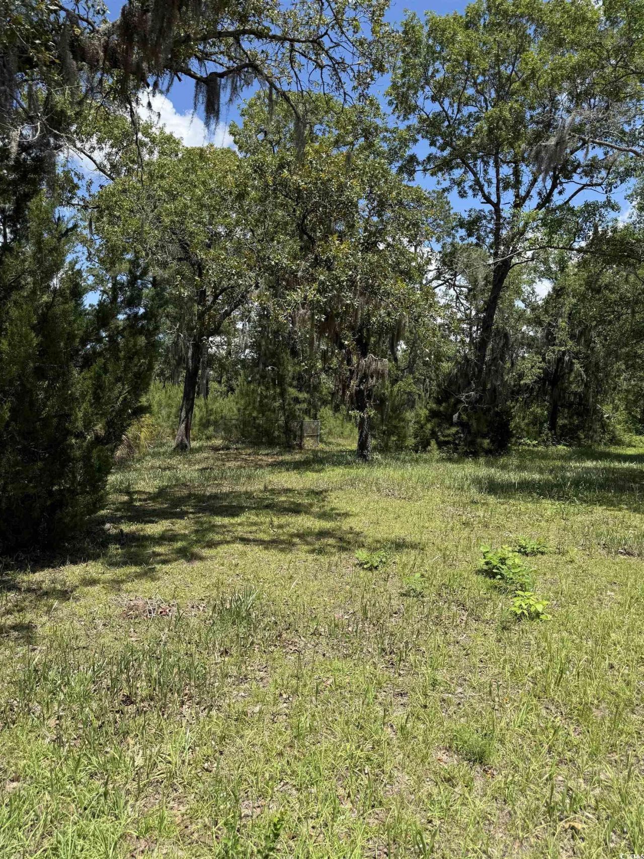 5375 Hampton Rd. Photo 5