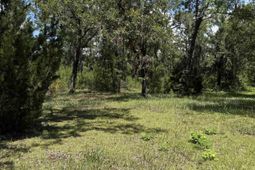 5375 Hampton Rd. photo 4