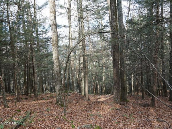 Lot On Mount Eden Estates Road, Lexington, NY 12452