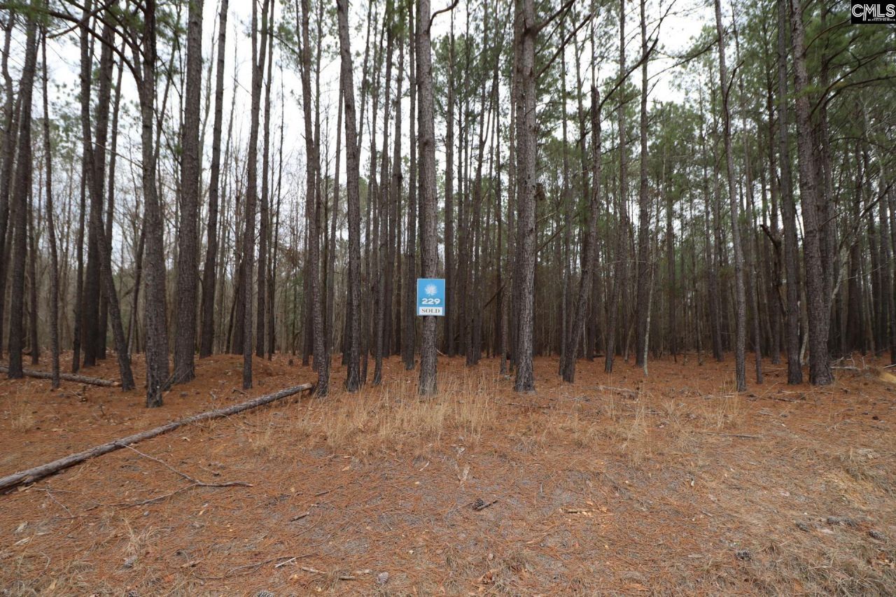 Lot 229 Granny Hill Road Photo 37