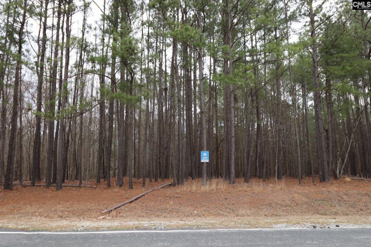 Lot 229 Granny Hill Road Photo 38