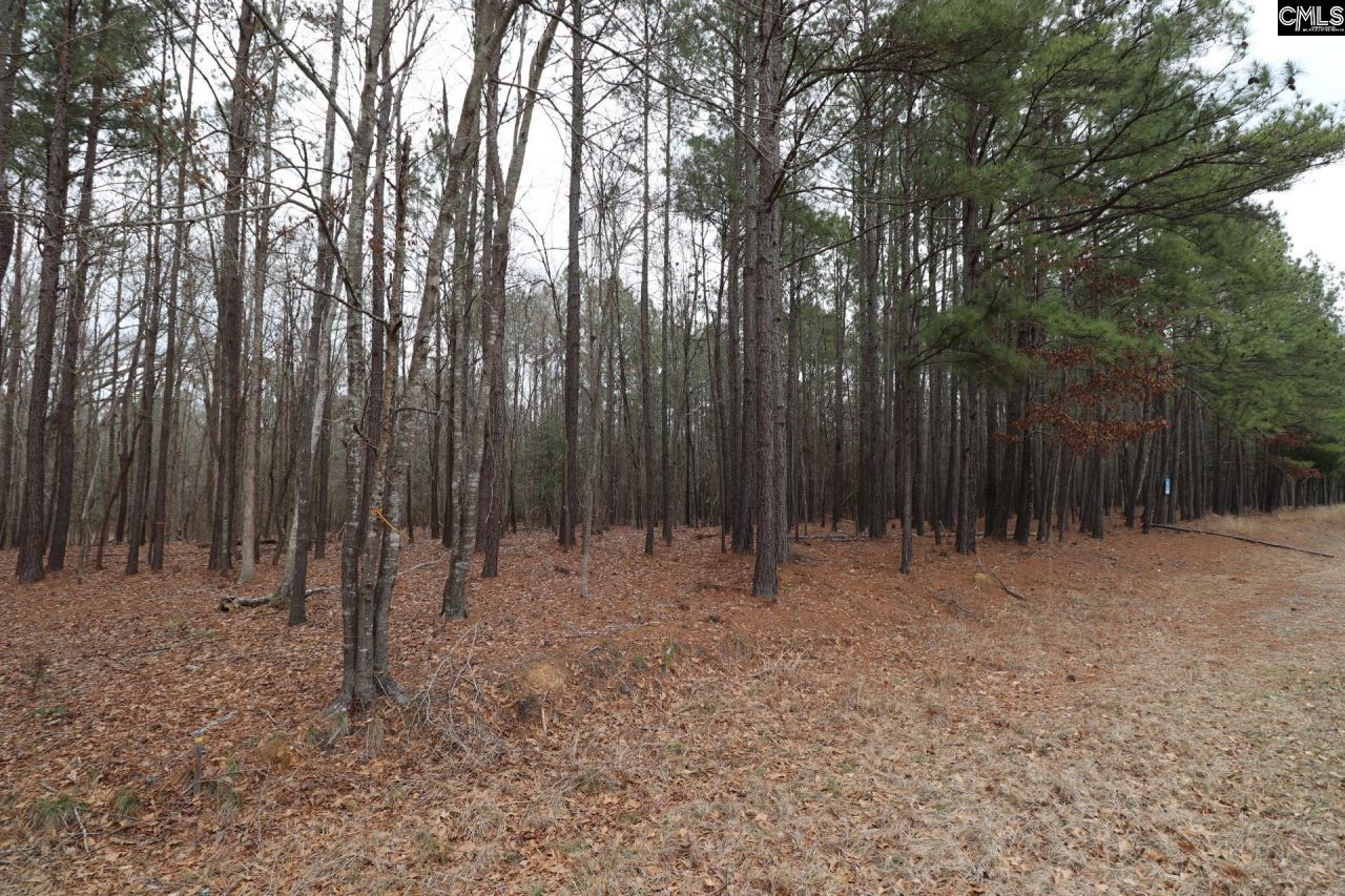 Lot 229 Granny Hill Road Photo 41