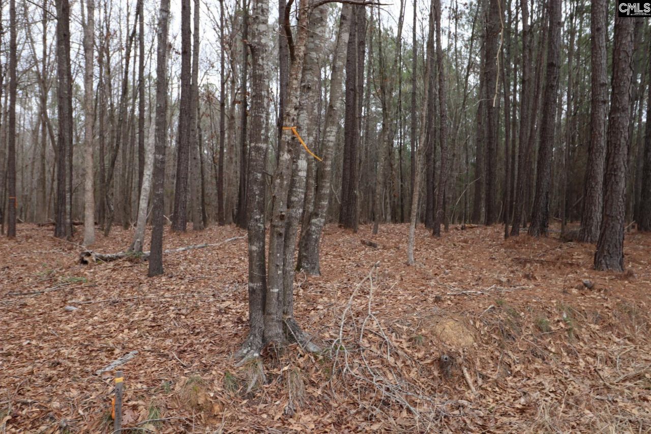 Lot 229 Granny Hill Road Photo 42