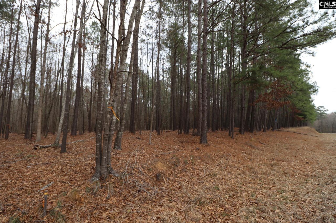 Lot 229 Granny Hill Road Photo 43