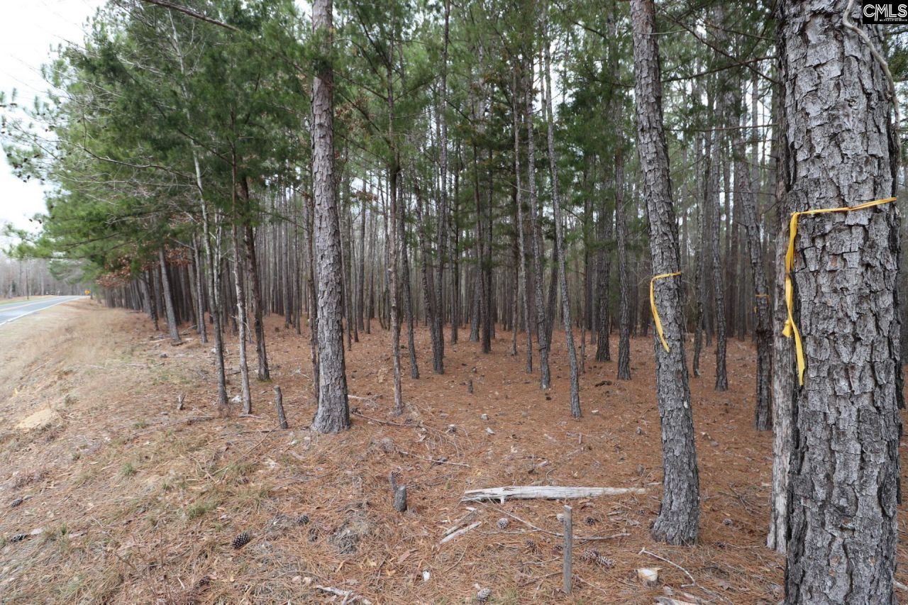 Lot 229 Granny Hill Road Photo 44