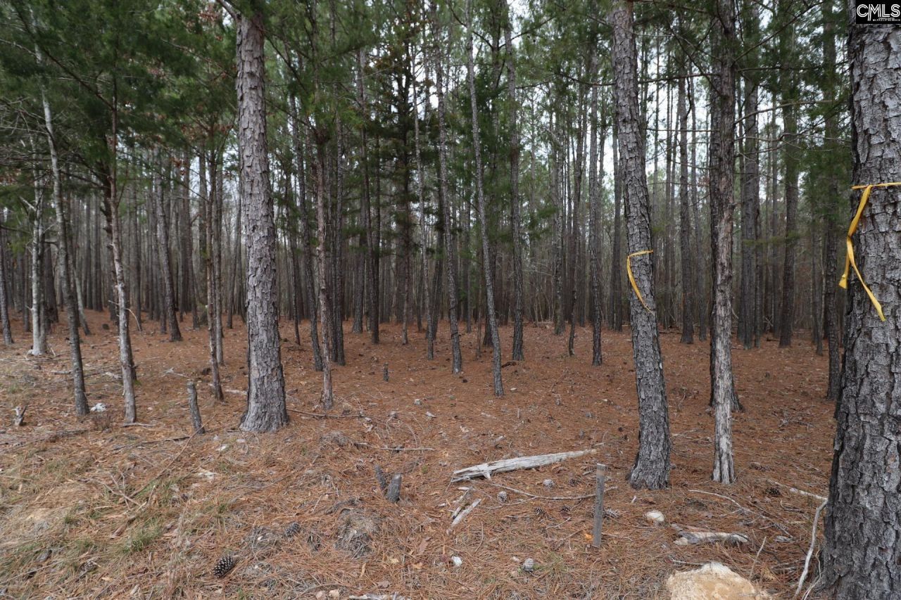 Lot 229 Granny Hill Road Photo 45