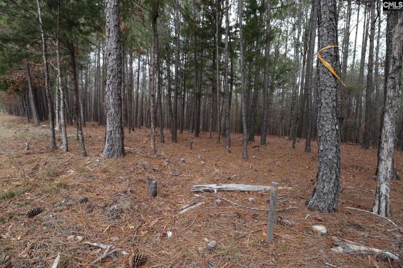 Lot 229 Granny Hill Road Photo 46