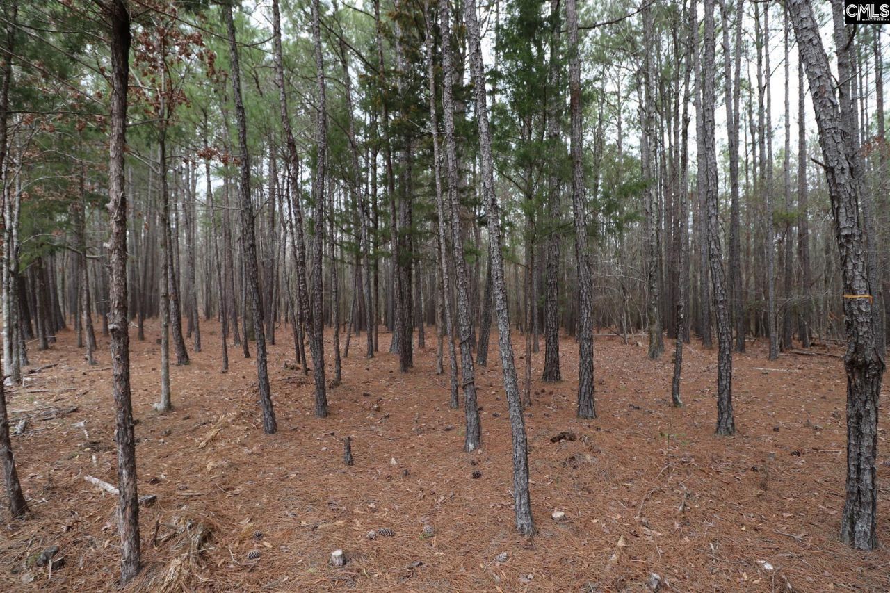 Lot 229 Granny Hill Road Photo 47