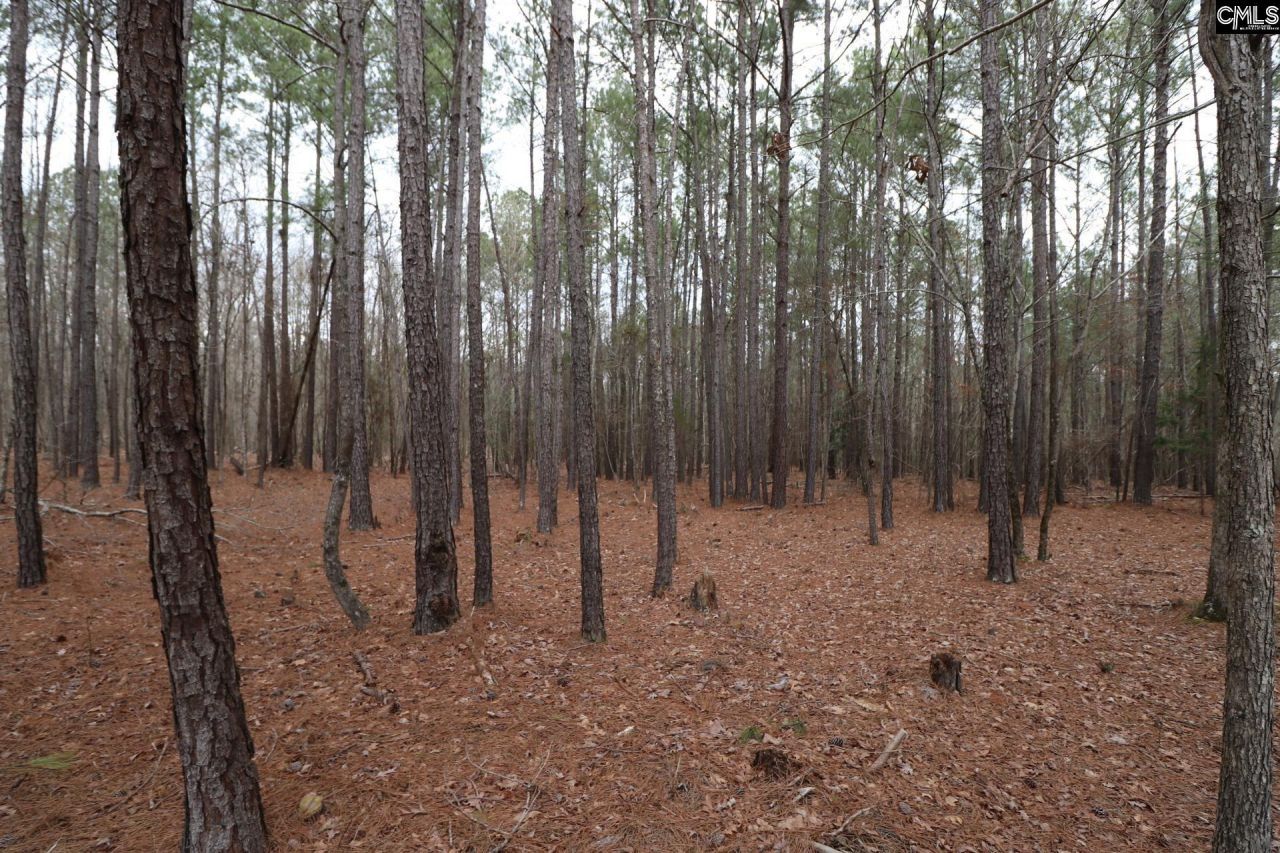 Lot 229 Granny Hill Road Photo 48