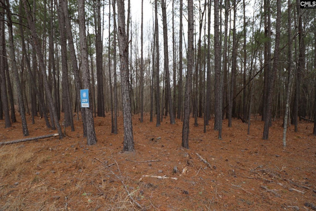 Lot 229 Granny Hill Road Photo 49