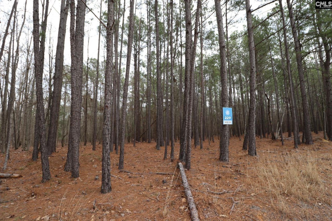 Lot 229 Granny Hill Road Photo 50