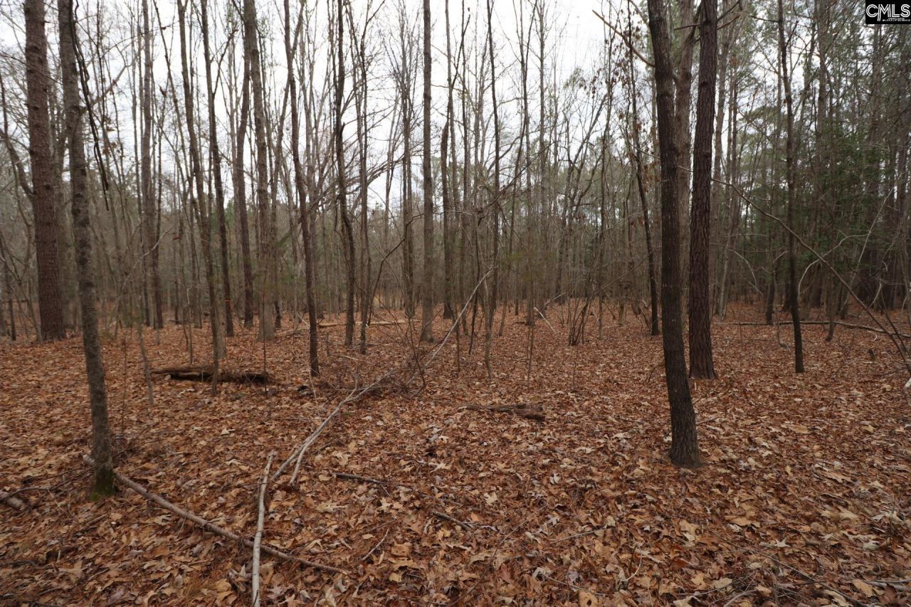 Lot 229 Granny Hill Road Photo 51