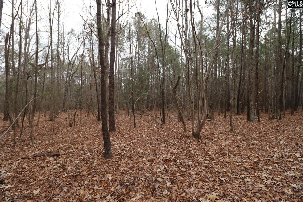 Lot 229 Granny Hill Road Photo 52