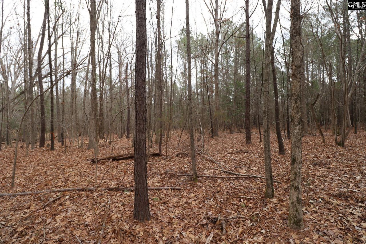 Lot 229 Granny Hill Road Photo 53