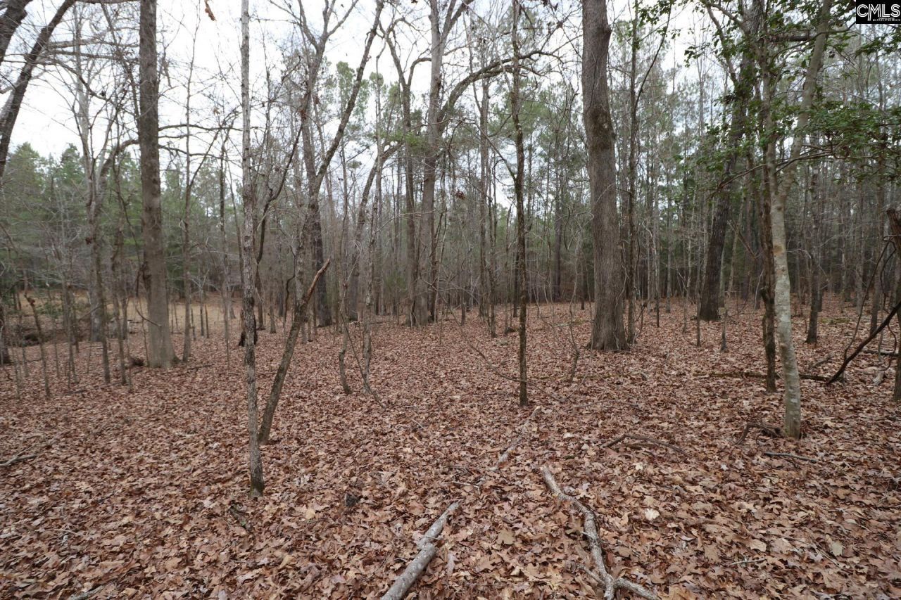 Lot 229 Granny Hill Road Photo 54