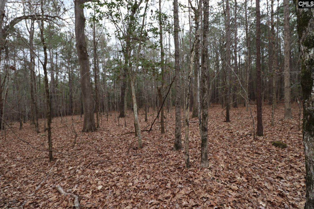 Lot 229 Granny Hill Road Photo 55