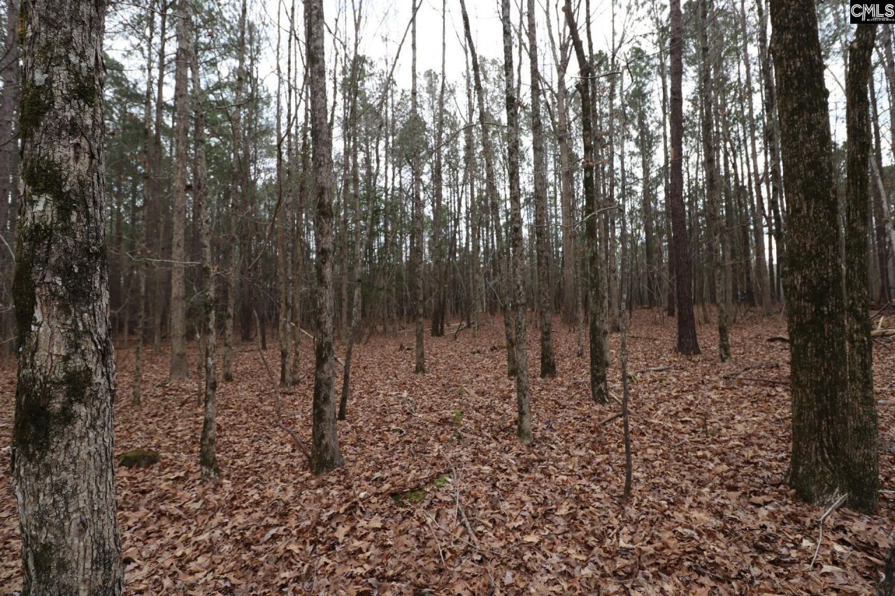 Lot 229 Granny Hill Road Photo 56