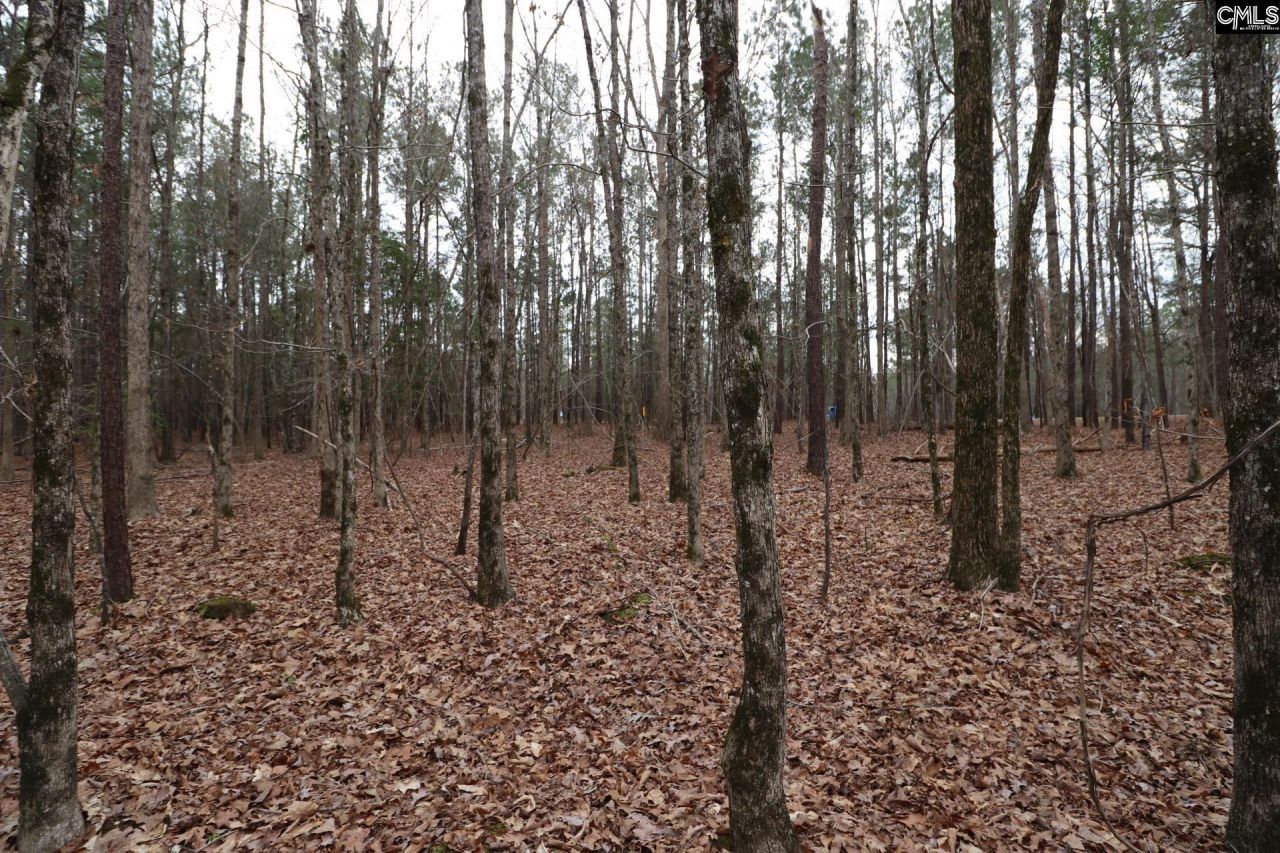 Lot 229 Granny Hill Road Photo 57