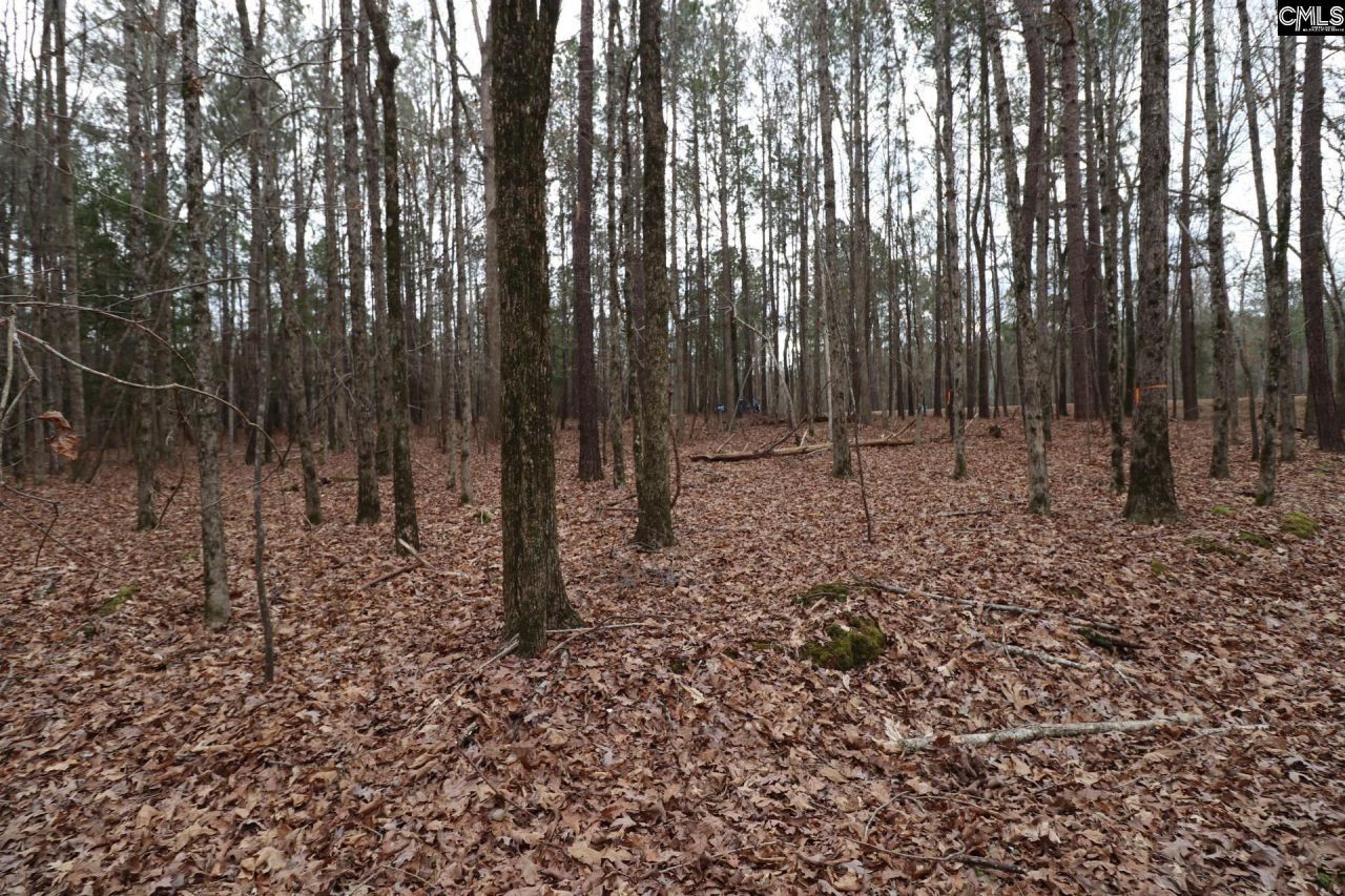 Lot 229 Granny Hill Road Photo 58