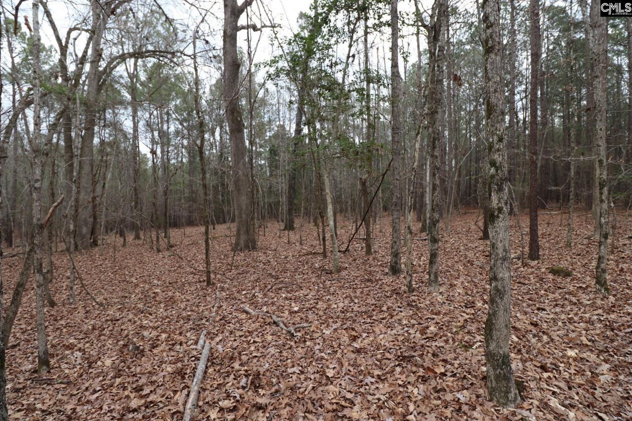 Lot 229 Granny Hill Road Photo 59