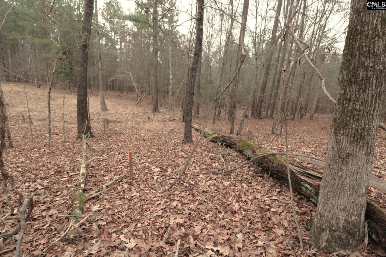 Lot 229 Granny Hill Road Photo 60