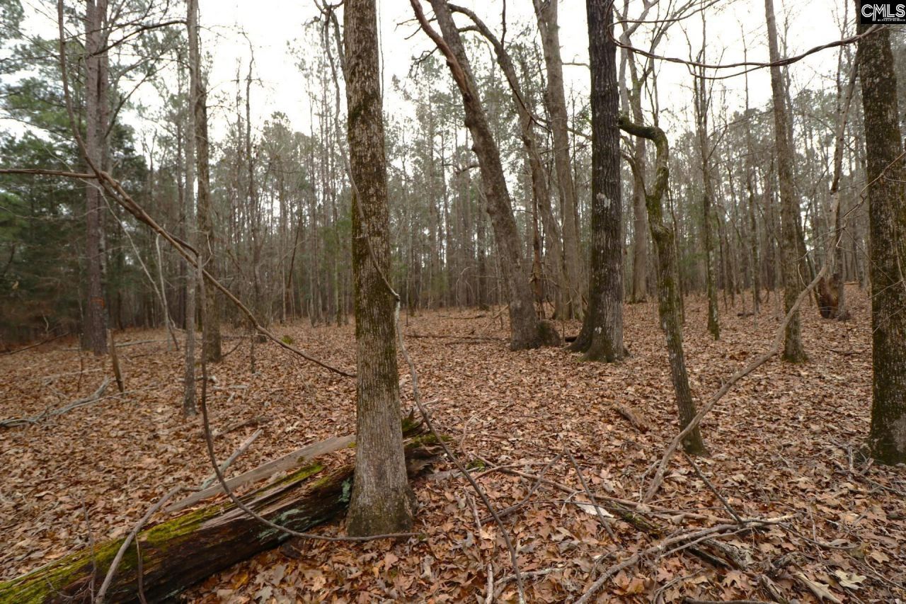 Lot 229 Granny Hill Road Photo 61