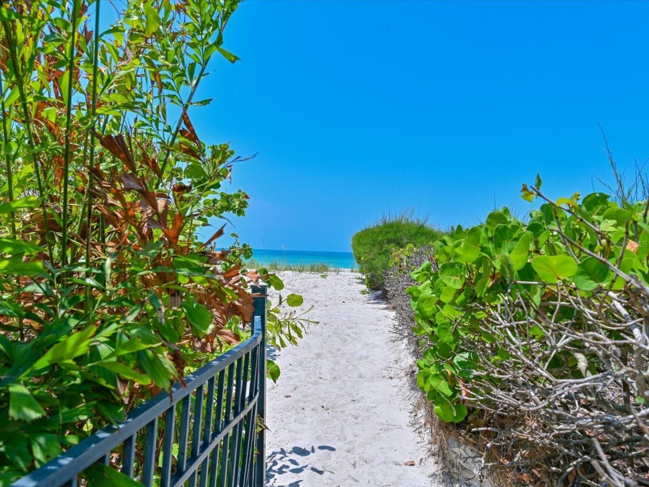 5920 Gulf Of Mexico Drive, Longboat Key, FL 34228 Photo