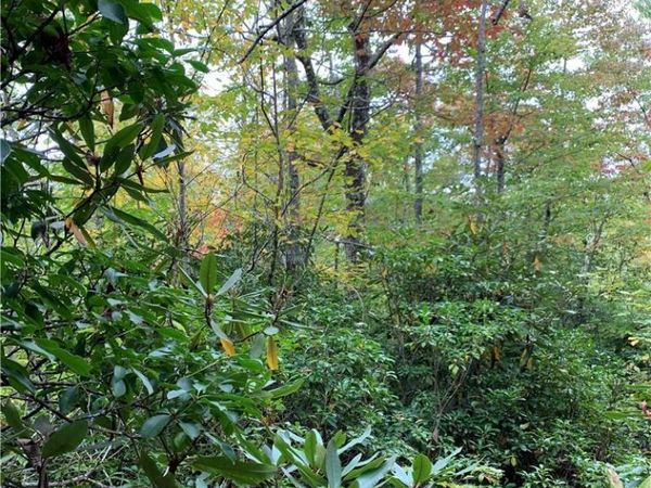 000 Eastatoe Gap Road, Rosman, NC 28772