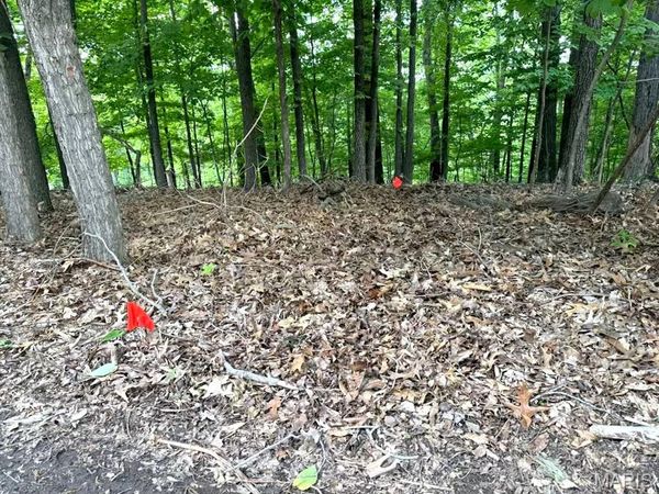 1513 Wolf Trail Road, Wildwood, MO 63021