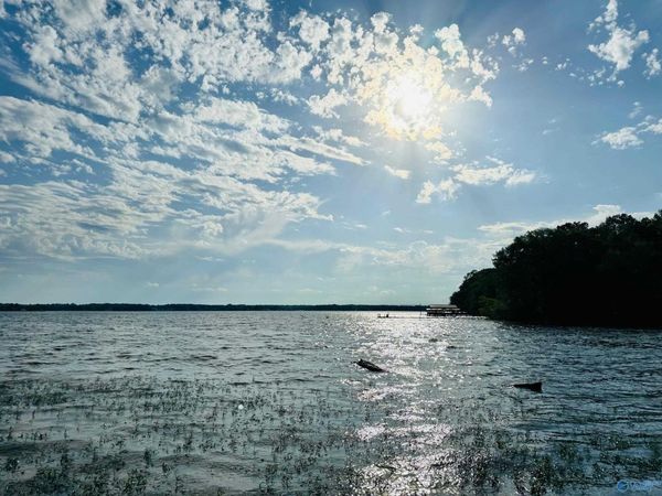 177 County Road 1043, Unit 13, Centre, AL 35960