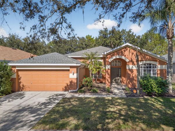 19156 DOVE CREEK DRIVE, TAMPA, FL 33647