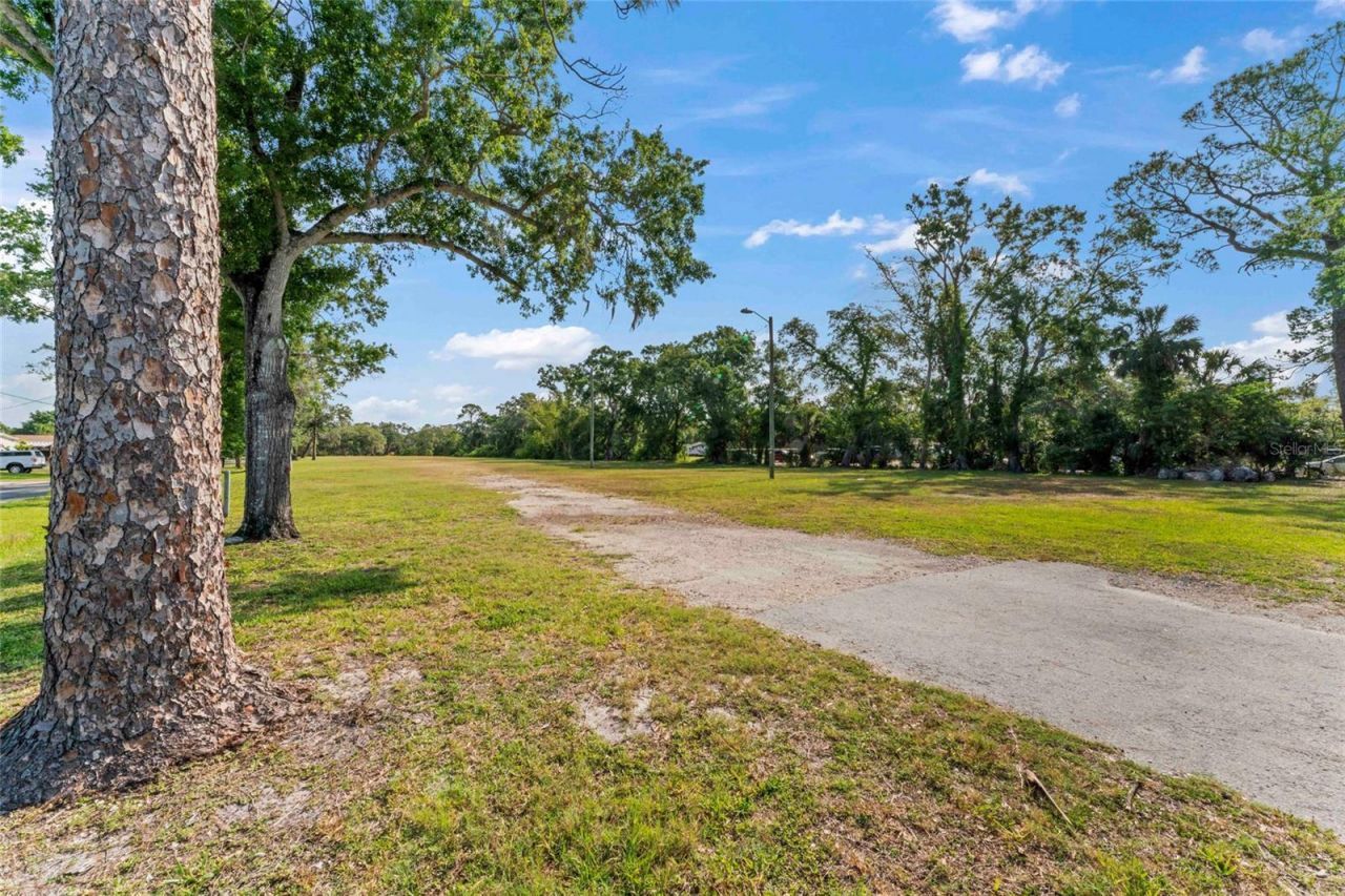 13025 Memorial Highway, Tampa, FL 33635 Photo