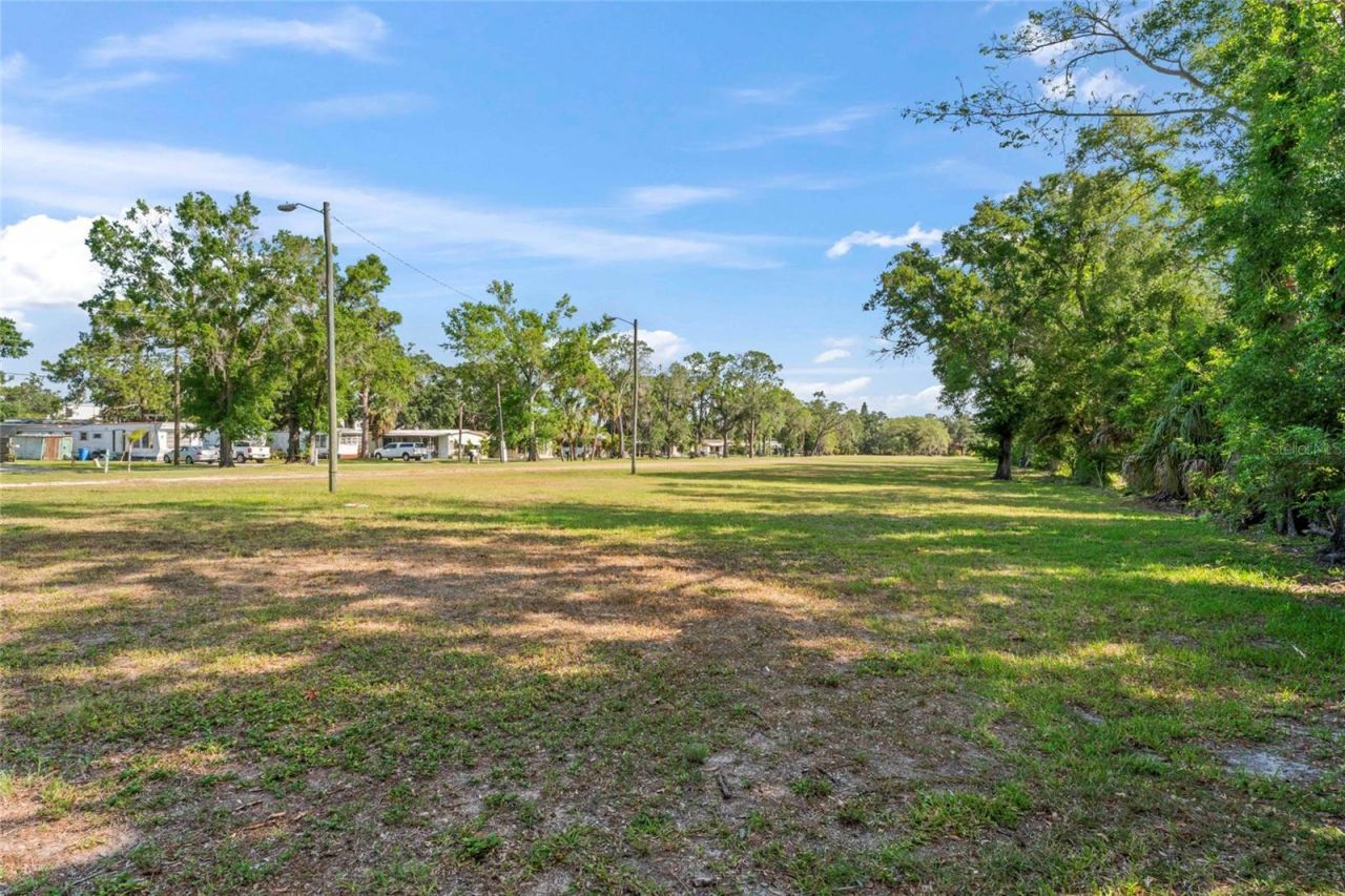 13025 Memorial Highway, Tampa, FL 33635 Photo