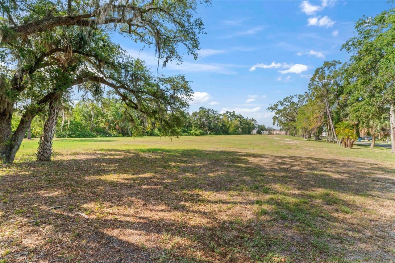 13025 Memorial Highway, Tampa, FL 33635 Photo