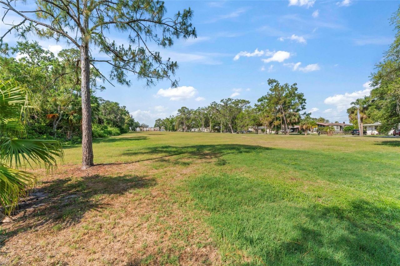 13025 Memorial Highway, Tampa, FL 33635 Photo