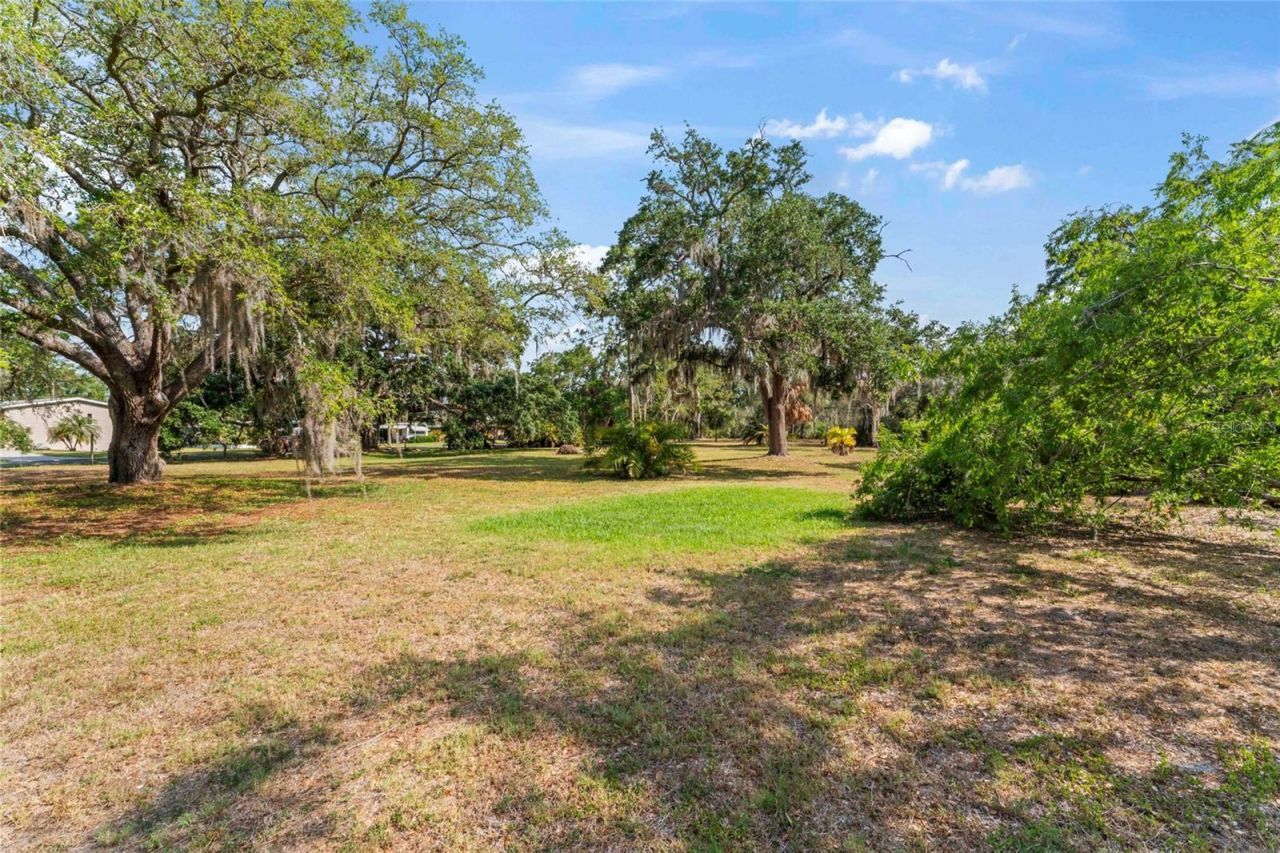 13025 Memorial Highway, Tampa, FL 33635 Photo