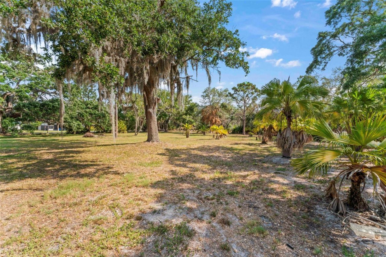 13025 Memorial Highway, Tampa, FL 33635 Photo