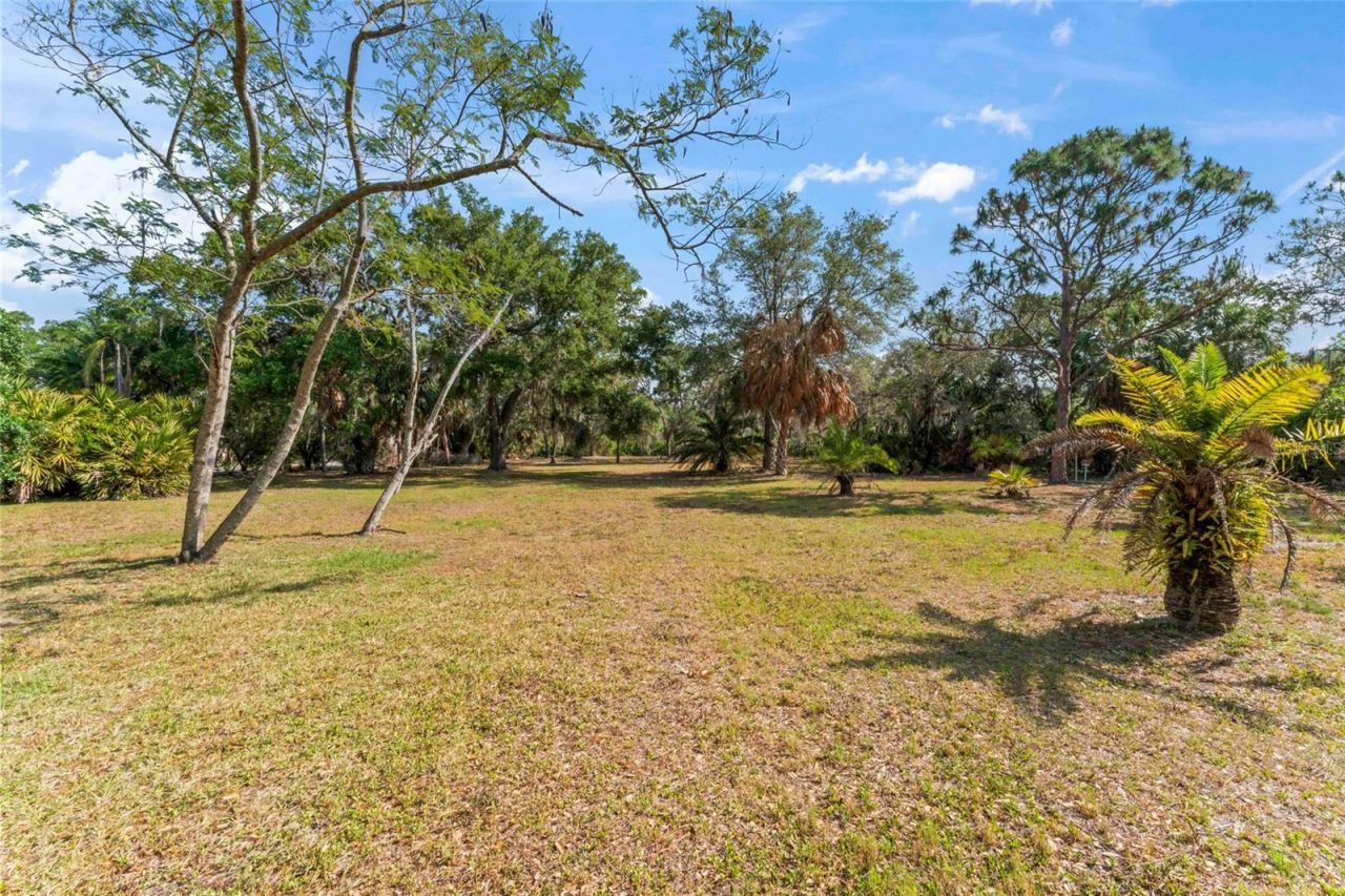 13025 Memorial Highway, Tampa, FL 33635 Photo