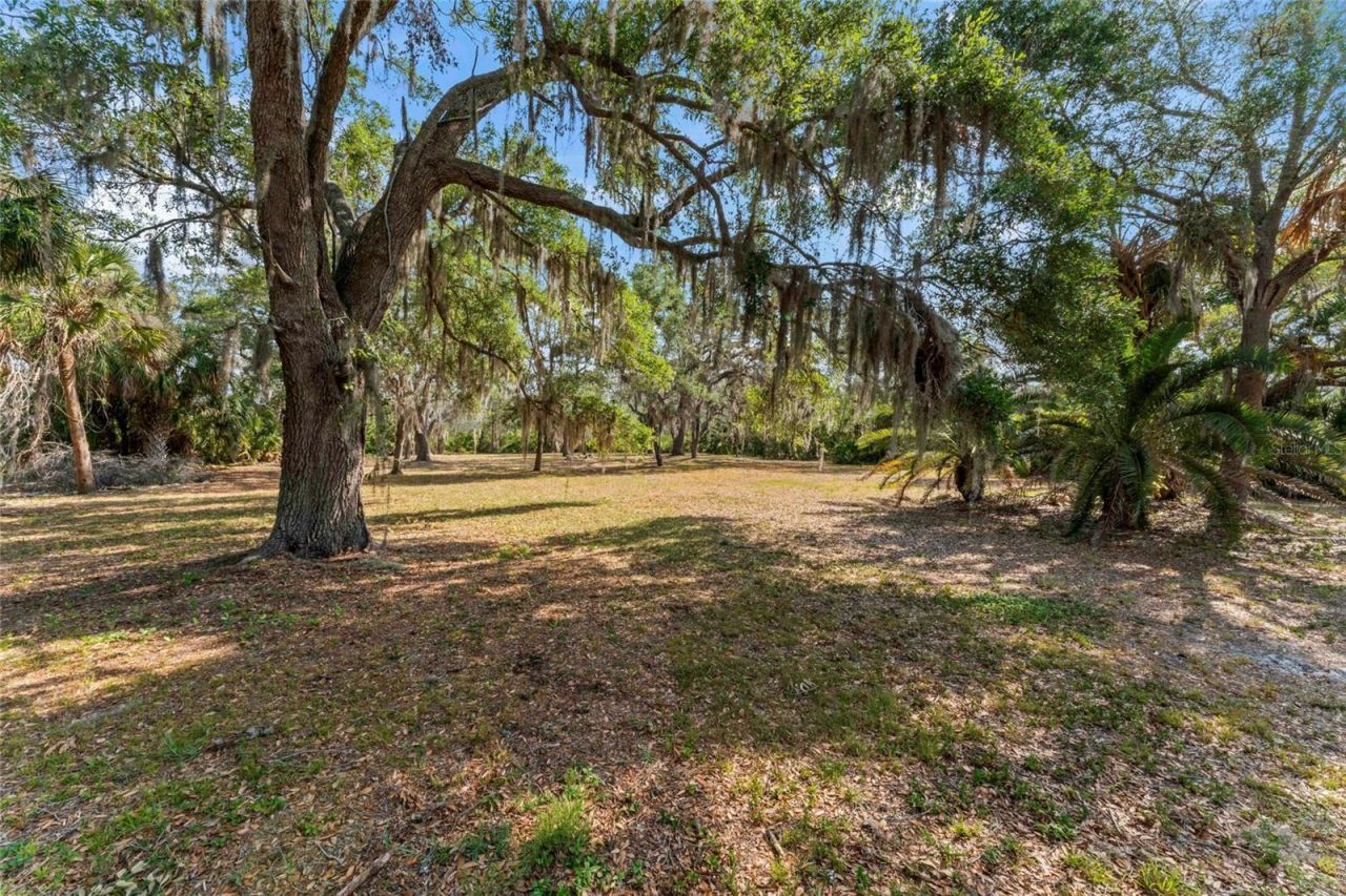 13025 Memorial Highway, Tampa, FL 33635 Photo